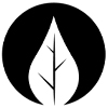 Potions: image 7 0f 7 thumb